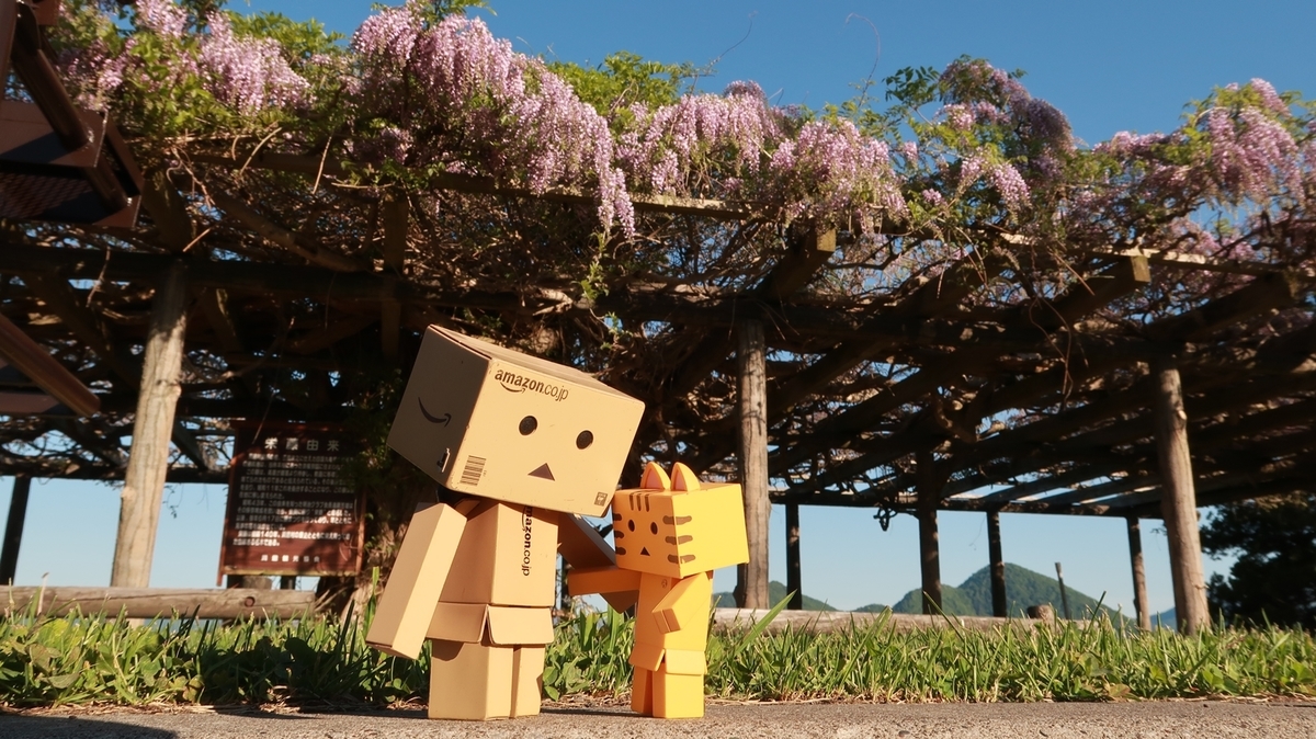 f:id:shirokumapanda:20200531234026j:plain