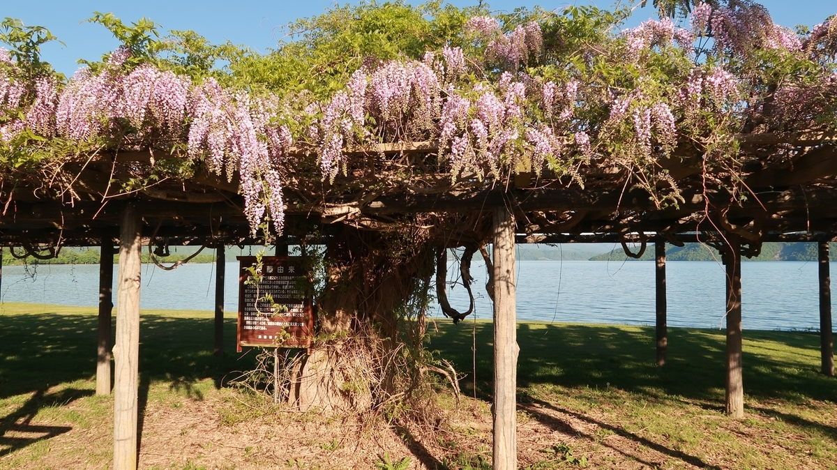 f:id:shirokumapanda:20200531234048j:plain