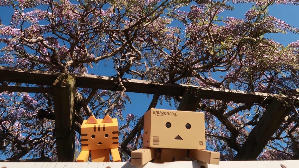 f:id:shirokumapanda:20200531234059j:plain