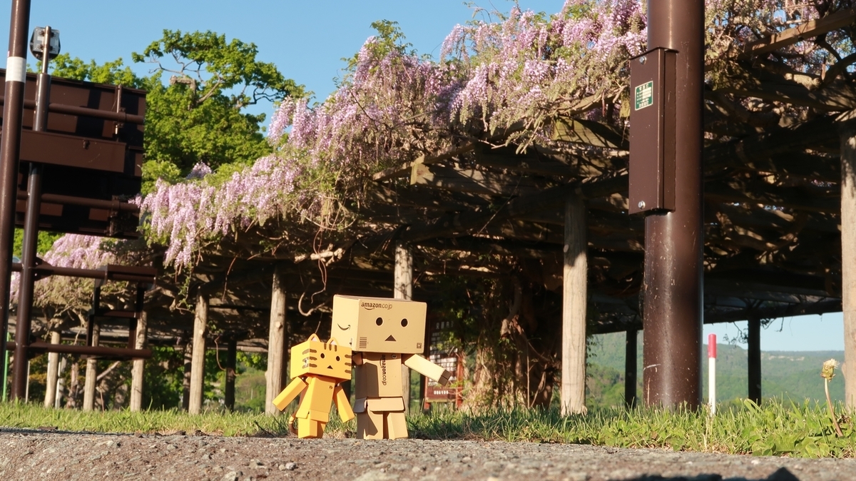 f:id:shirokumapanda:20200531234116j:plain