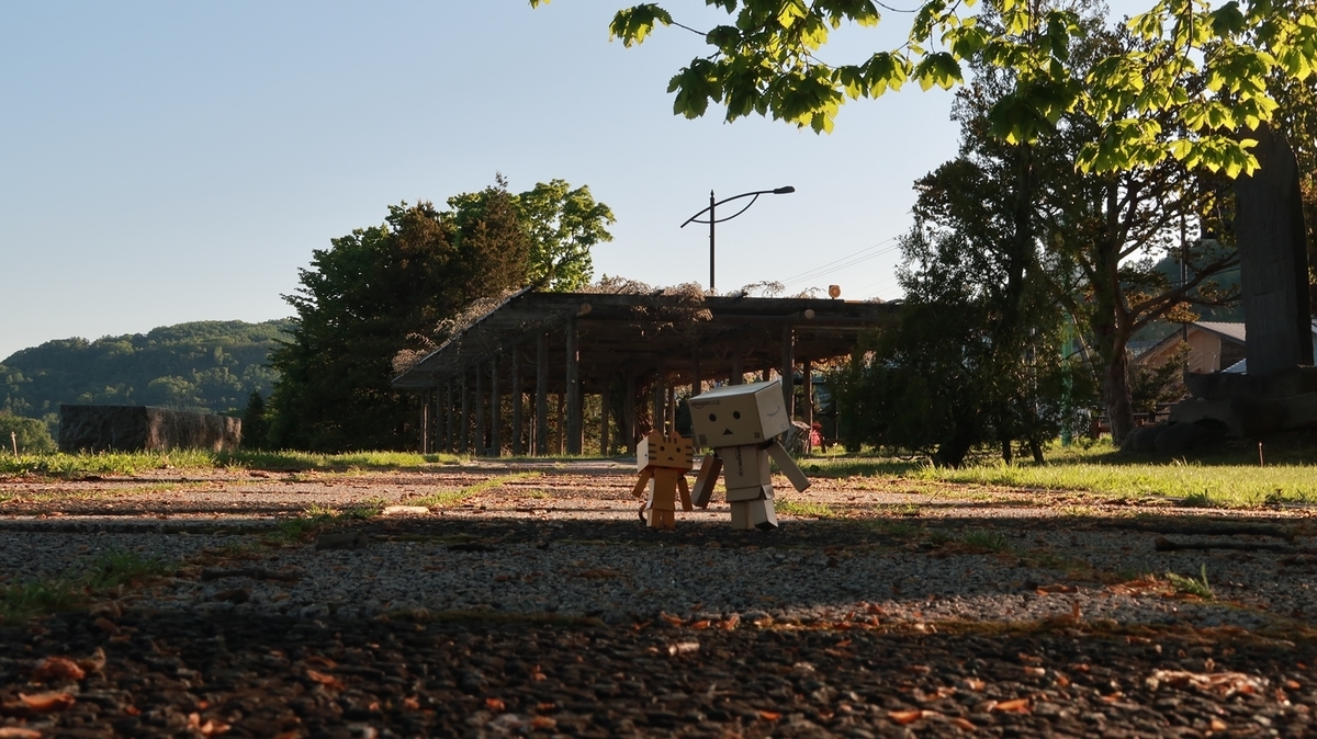 f:id:shirokumapanda:20200531234123j:plain