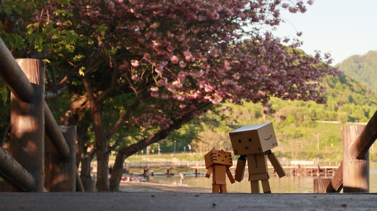 f:id:shirokumapanda:20200531234129j:plain