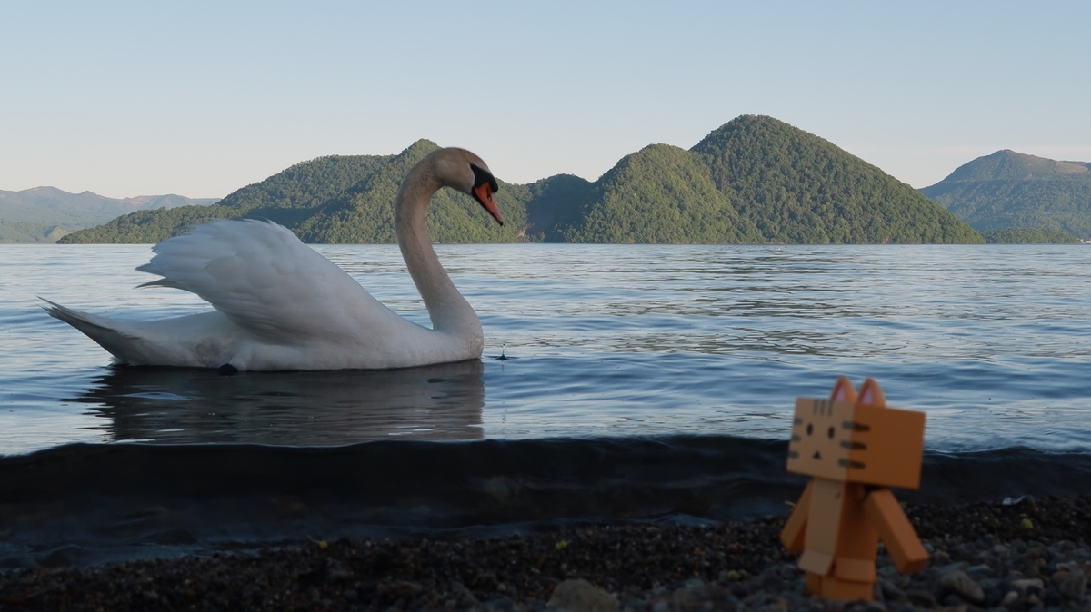 f:id:shirokumapanda:20200531234135j:plain