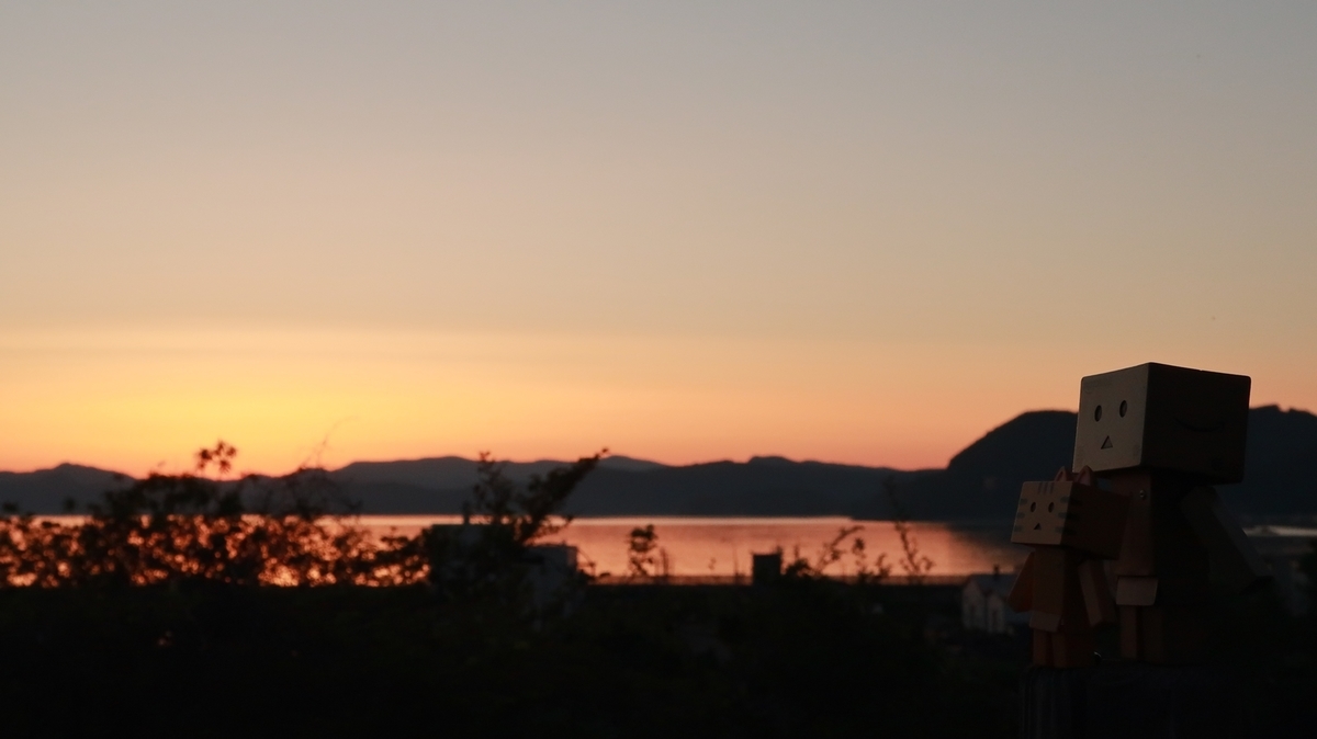 f:id:shirokumapanda:20200531234144j:plain