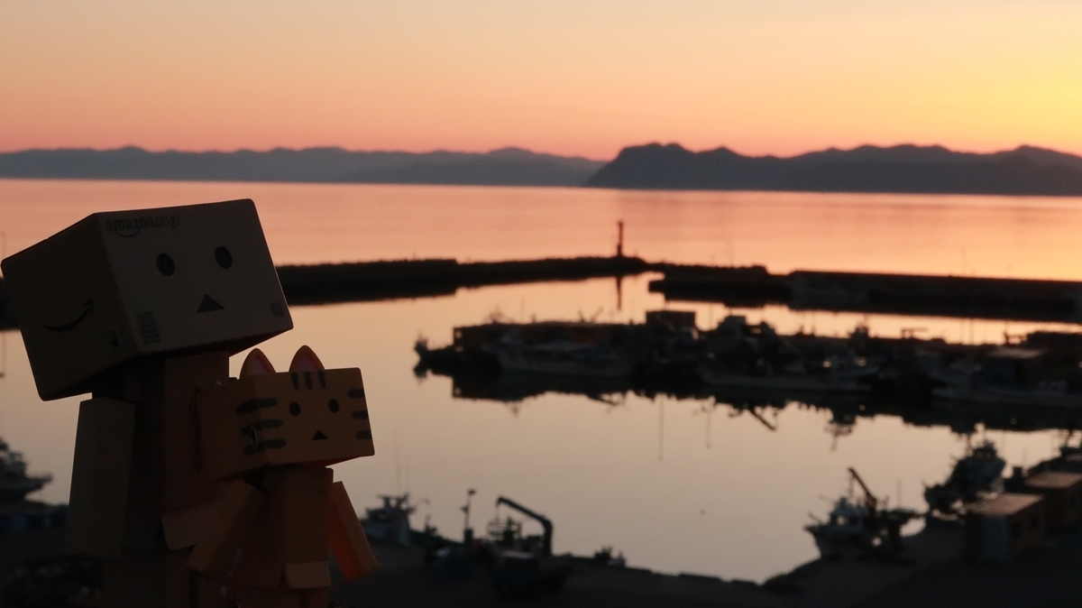 f:id:shirokumapanda:20200531234153j:plain