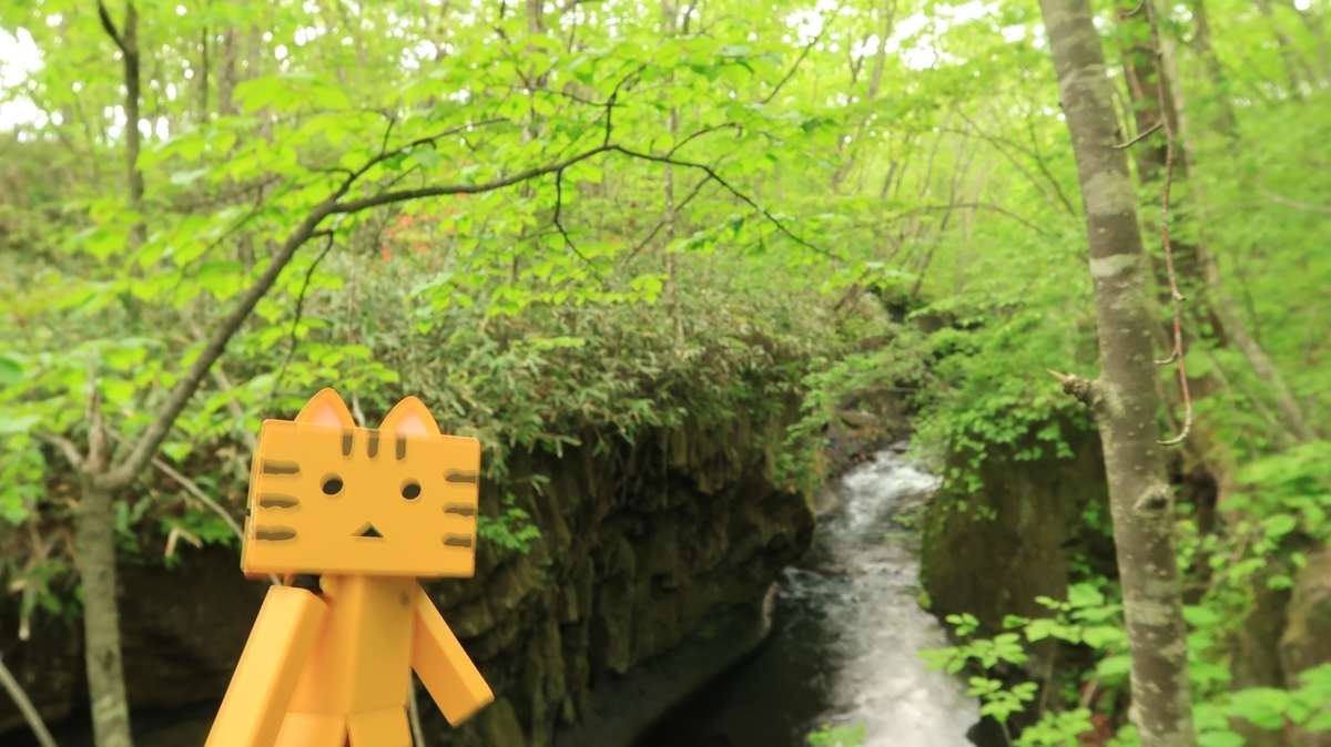 f:id:shirokumapanda:20200607234228j:plain