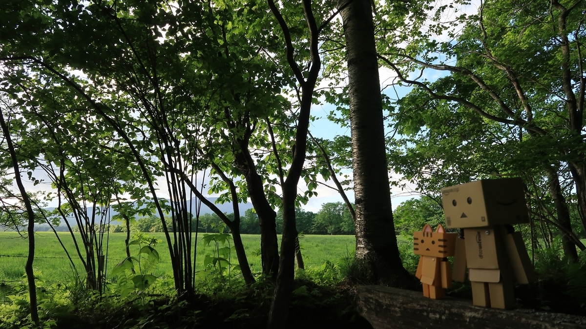 f:id:shirokumapanda:20200607234320j:plain