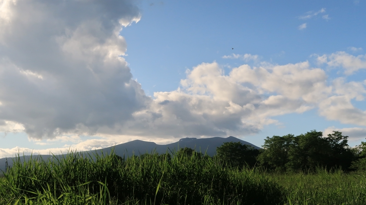 f:id:shirokumapanda:20200607234340j:plain