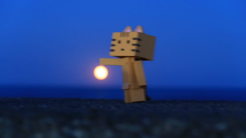 f:id:shirokumapanda:20200607234506j:plain