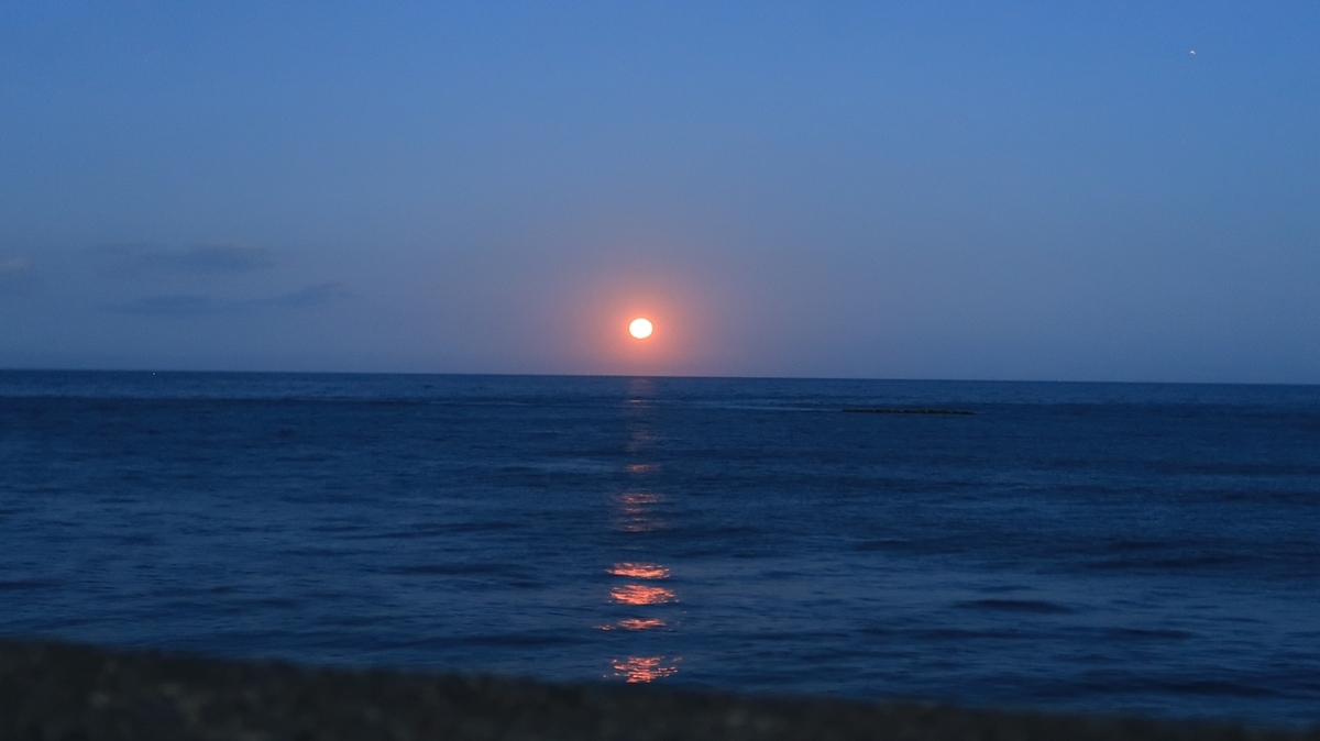 f:id:shirokumapanda:20200607234510j:plain