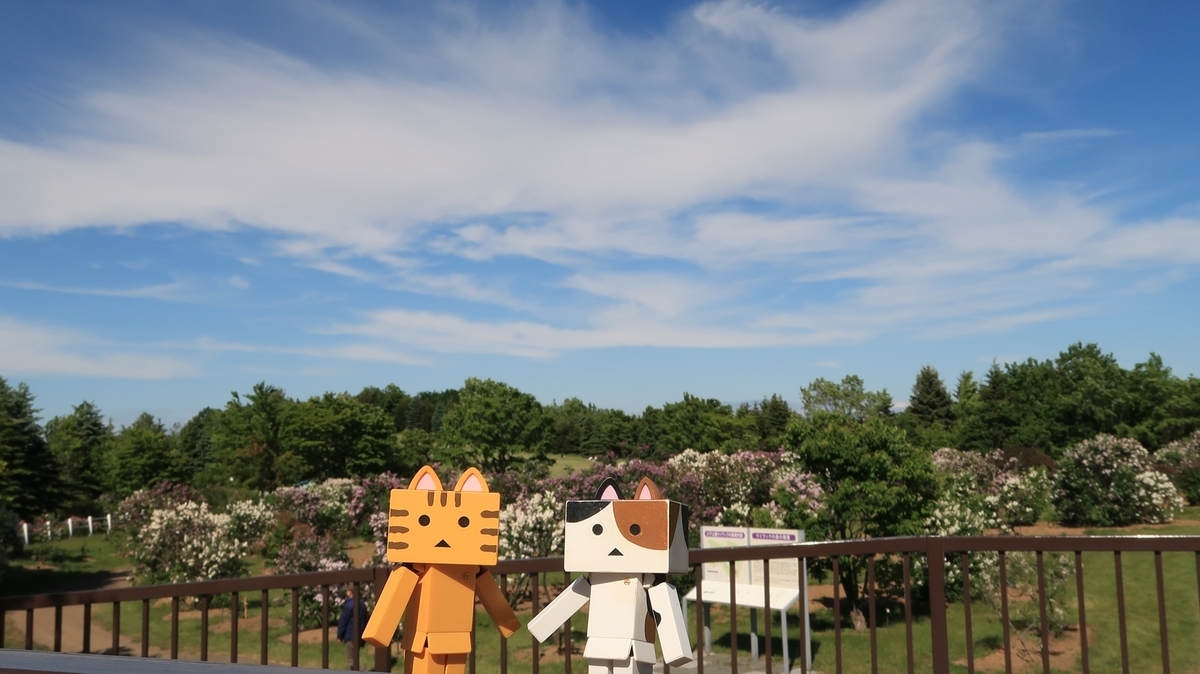 f:id:shirokumapanda:20200608014106j:plain