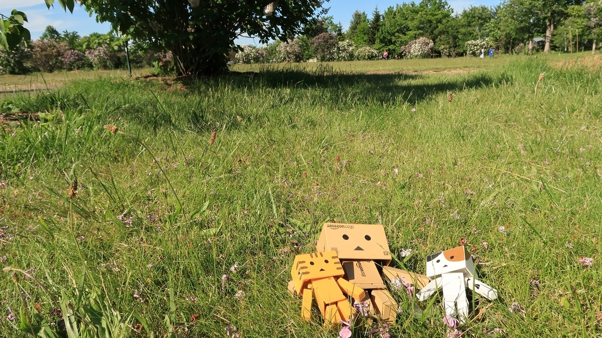 f:id:shirokumapanda:20200608014120j:plain