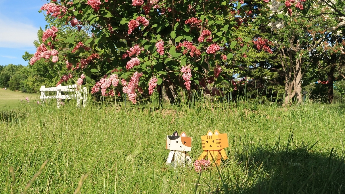 f:id:shirokumapanda:20200608014138j:plain