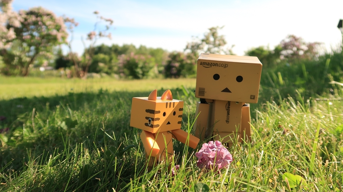 f:id:shirokumapanda:20200608014144j:plain