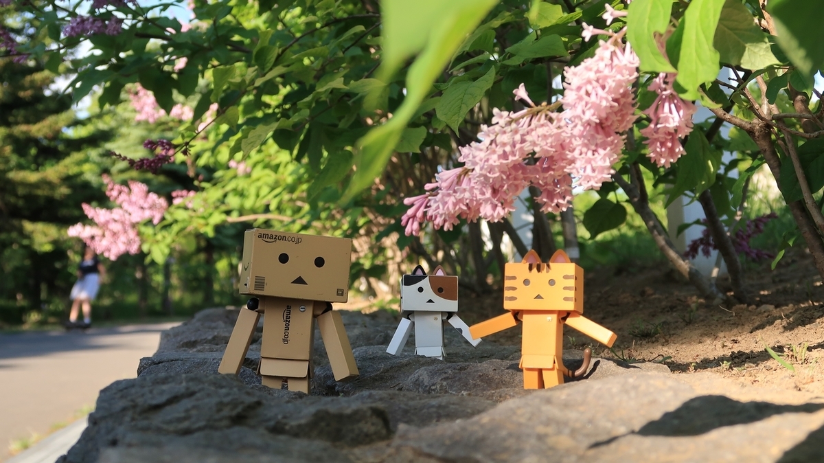 f:id:shirokumapanda:20200608014150j:plain