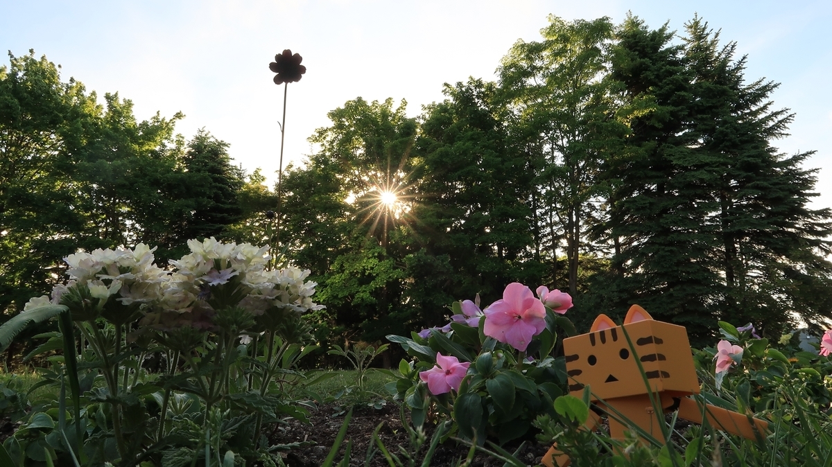 f:id:shirokumapanda:20200608014157j:plain