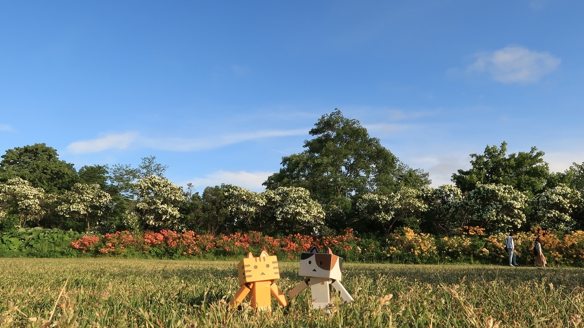 f:id:shirokumapanda:20200608014205j:plain