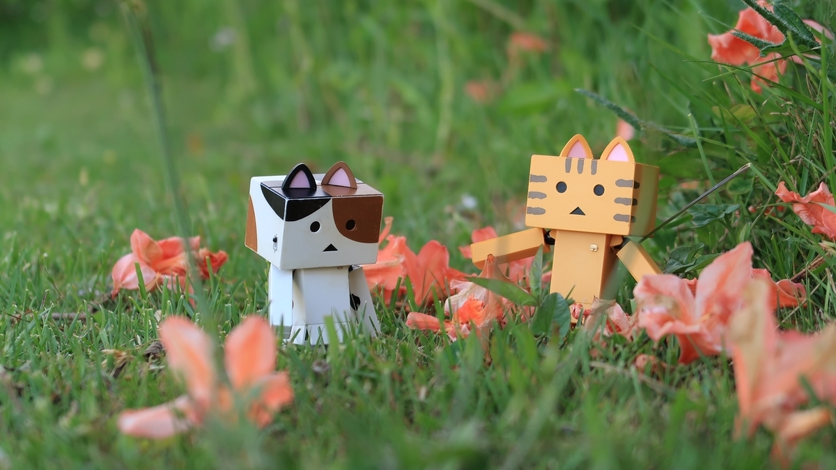 f:id:shirokumapanda:20200608014216j:plain