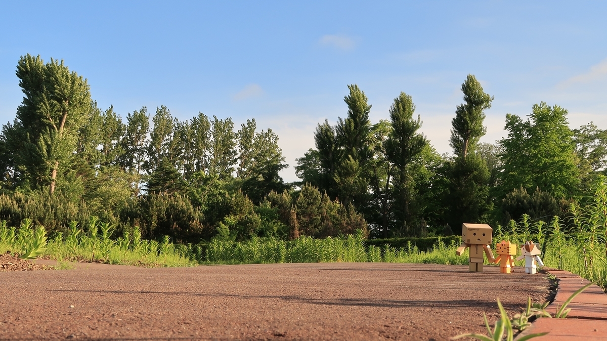 f:id:shirokumapanda:20200608014222j:plain