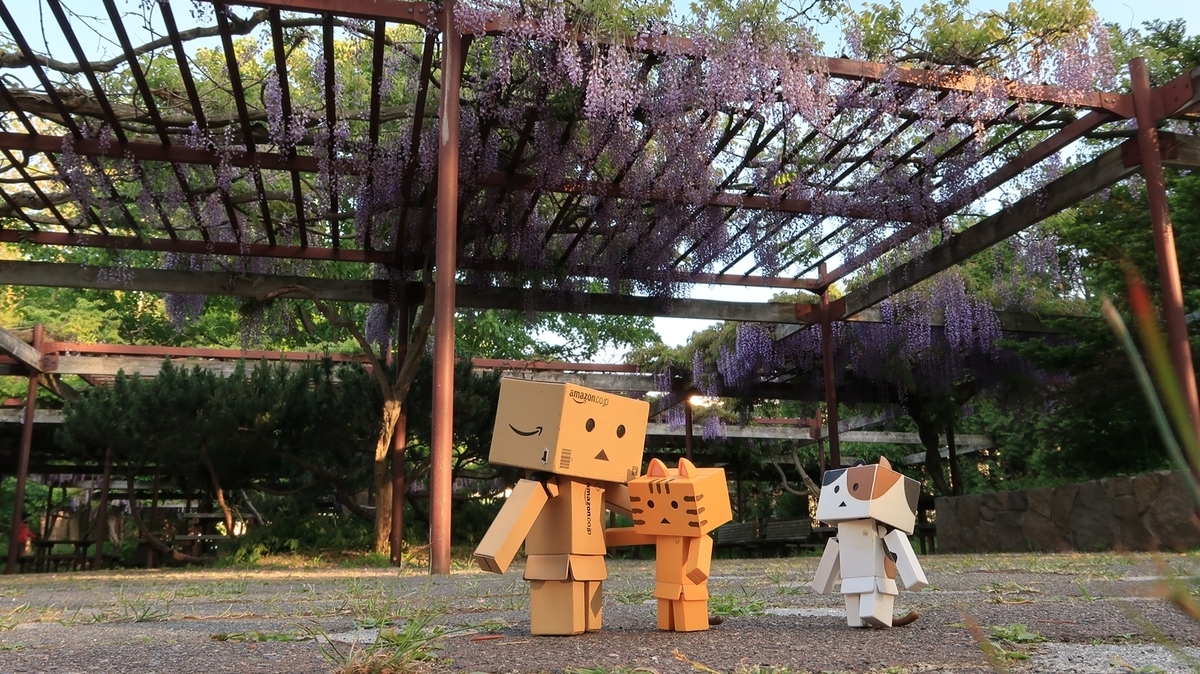 f:id:shirokumapanda:20200608014235j:plain