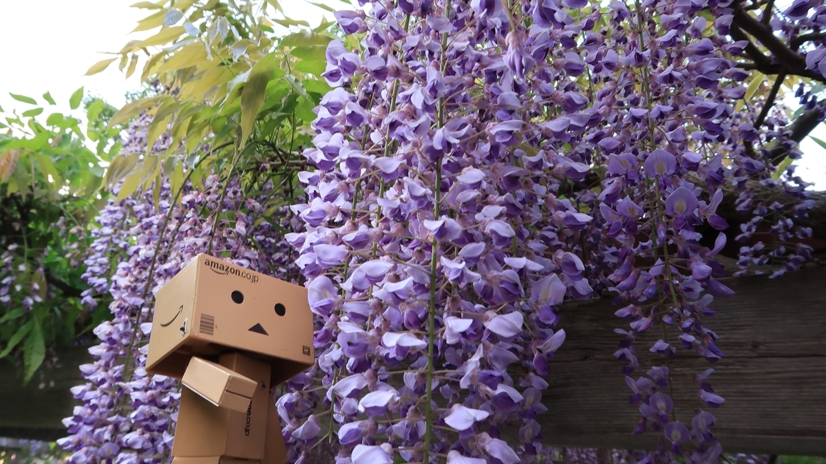 f:id:shirokumapanda:20200608014248j:plain