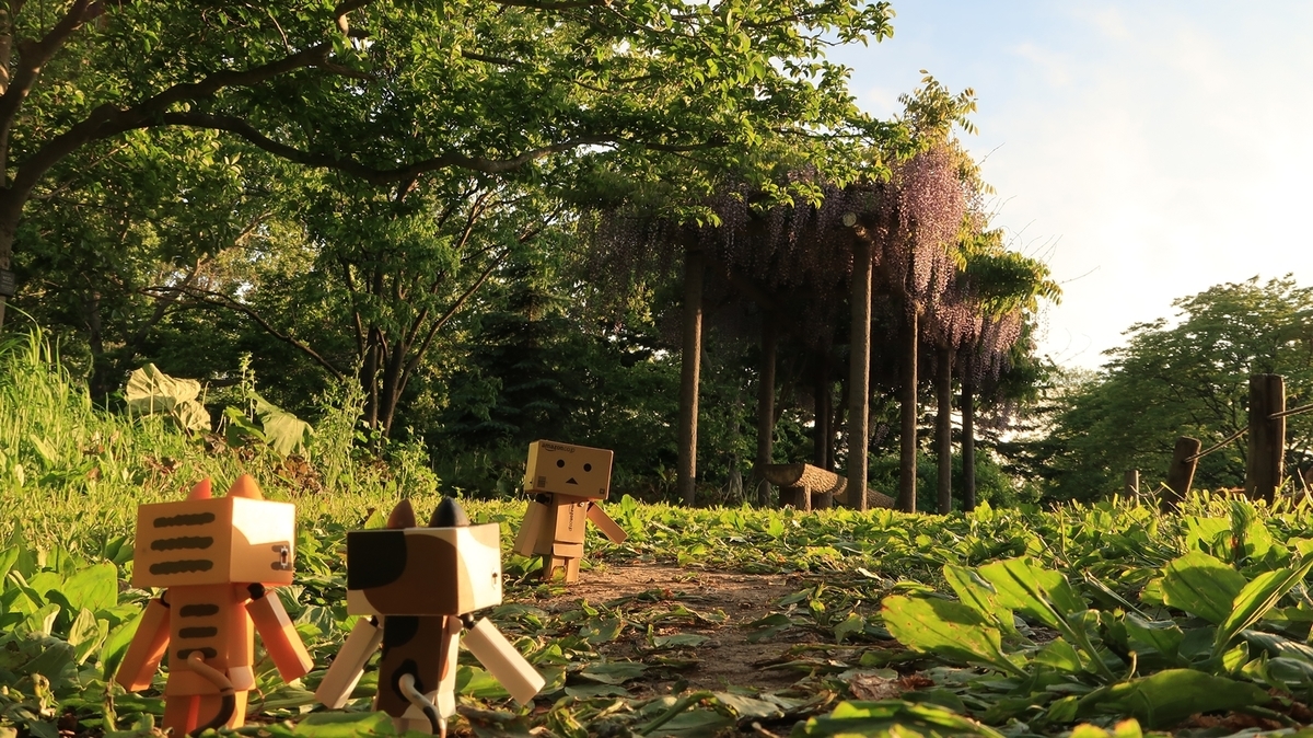 f:id:shirokumapanda:20200608014302j:plain