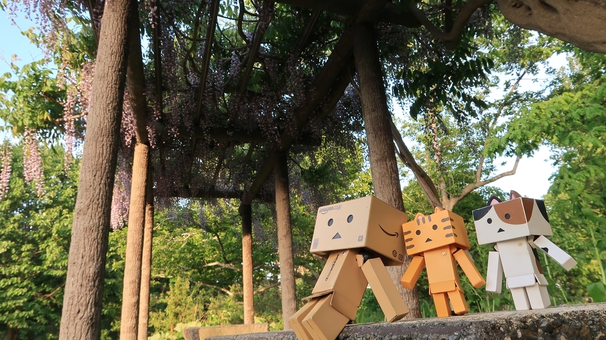 f:id:shirokumapanda:20200608014316j:plain