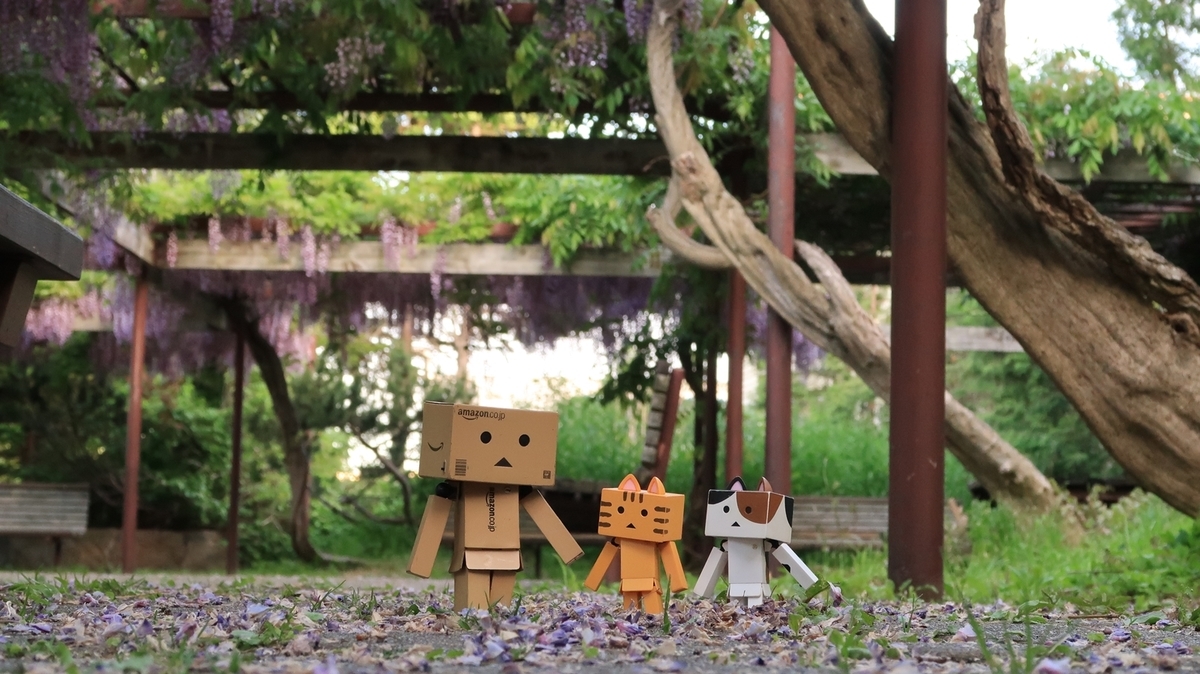 f:id:shirokumapanda:20200608014329j:plain