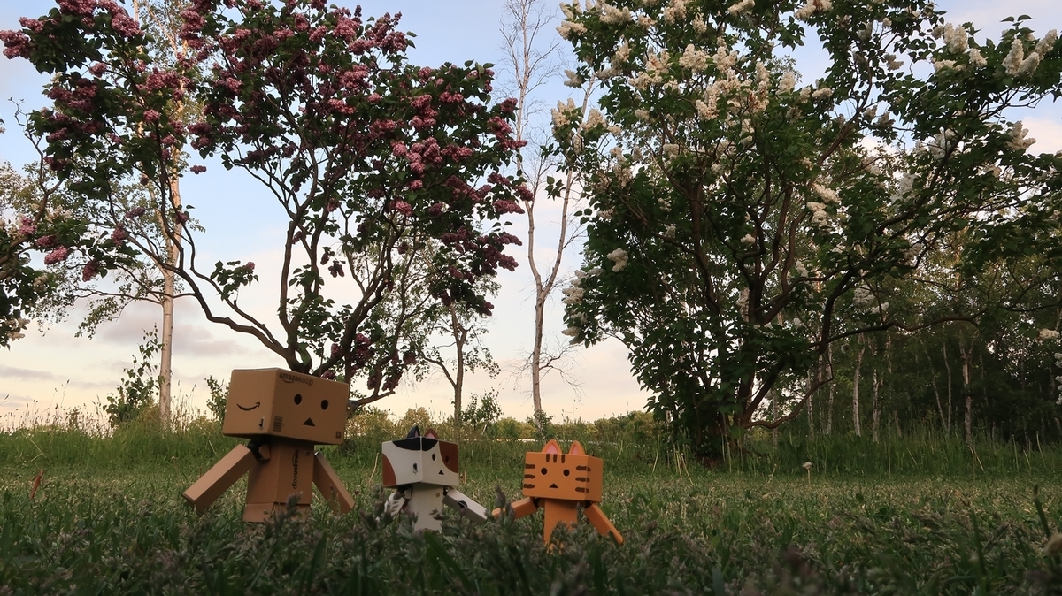 f:id:shirokumapanda:20200608014343j:plain