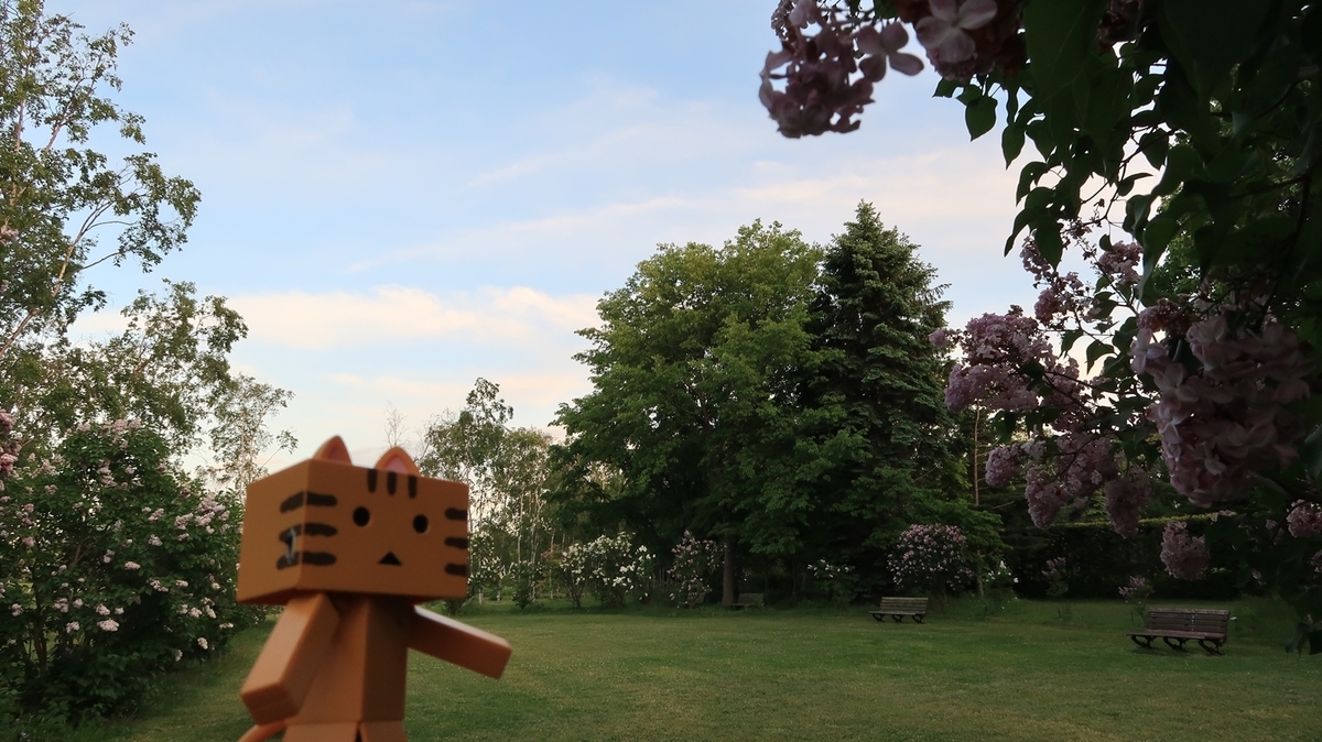 f:id:shirokumapanda:20200608014355j:plain