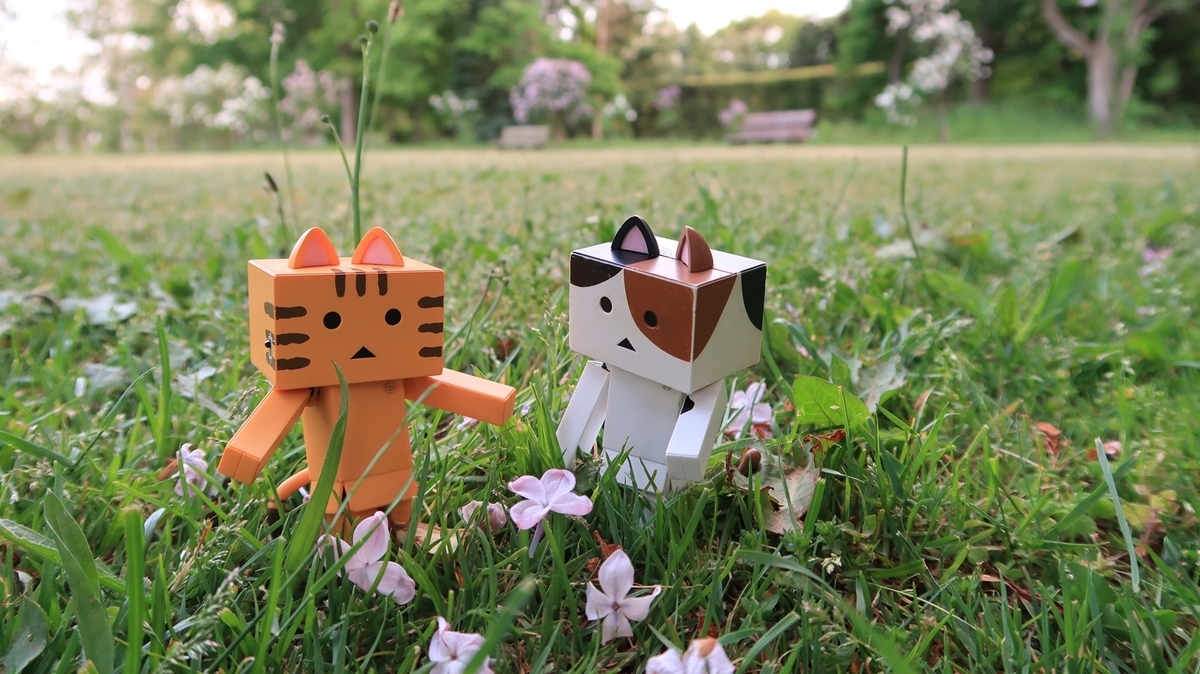 f:id:shirokumapanda:20200608014401j:plain