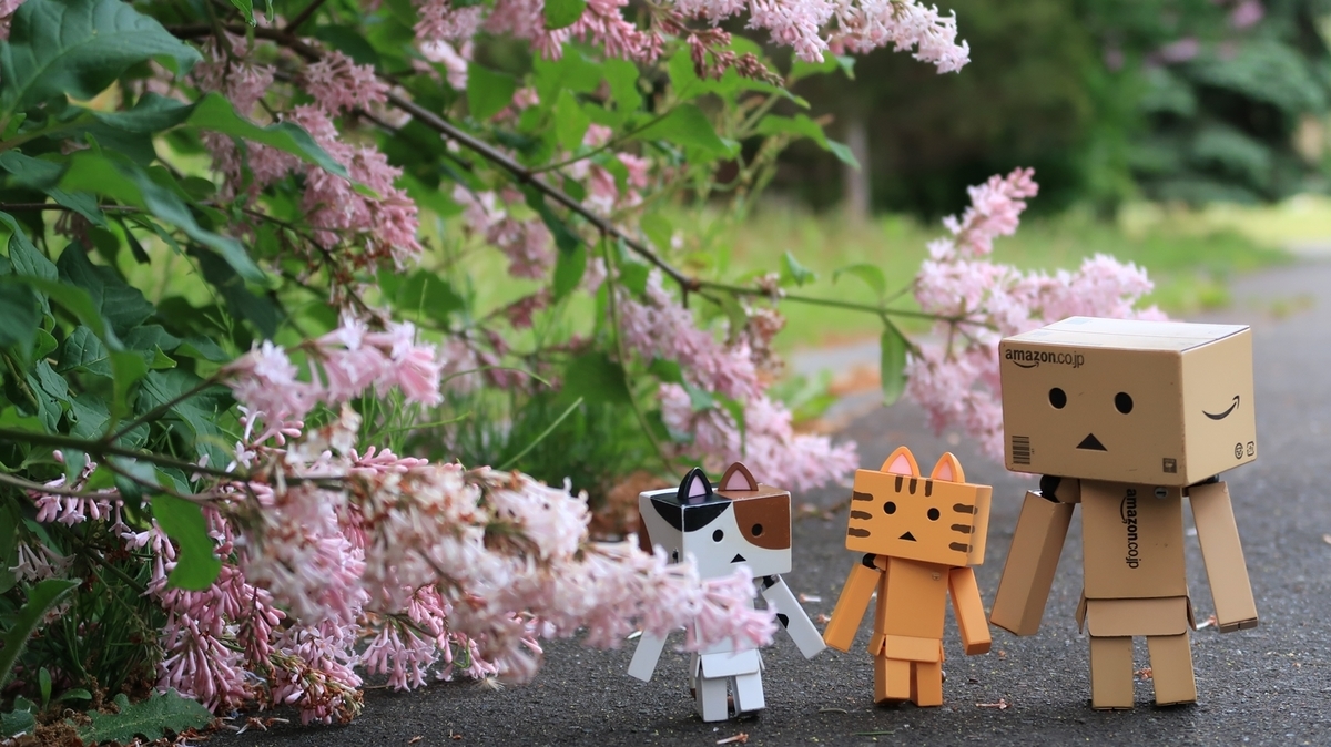 f:id:shirokumapanda:20200608014407j:plain