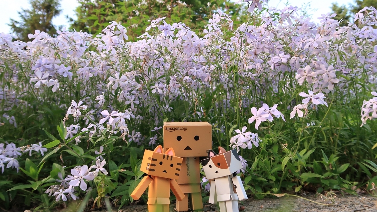 f:id:shirokumapanda:20200608014413j:plain