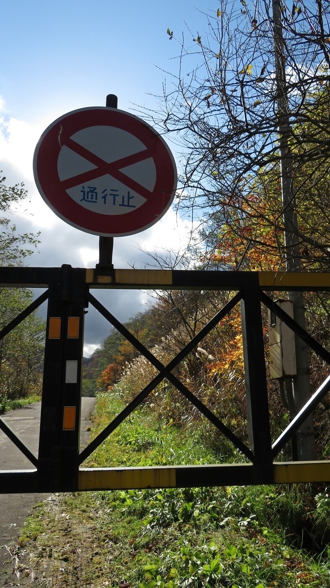 f:id:shirokumapanda:20200608233144j:plain