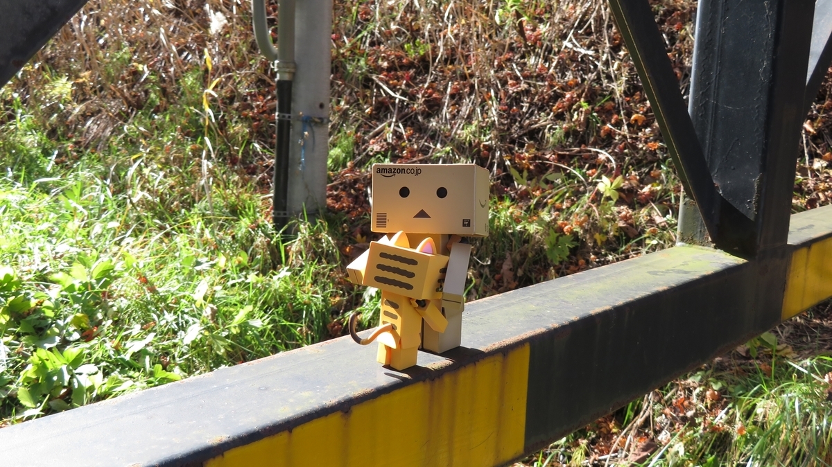 f:id:shirokumapanda:20200608233150j:plain