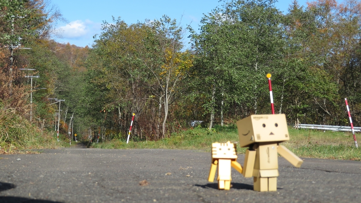 f:id:shirokumapanda:20200608233155j:plain