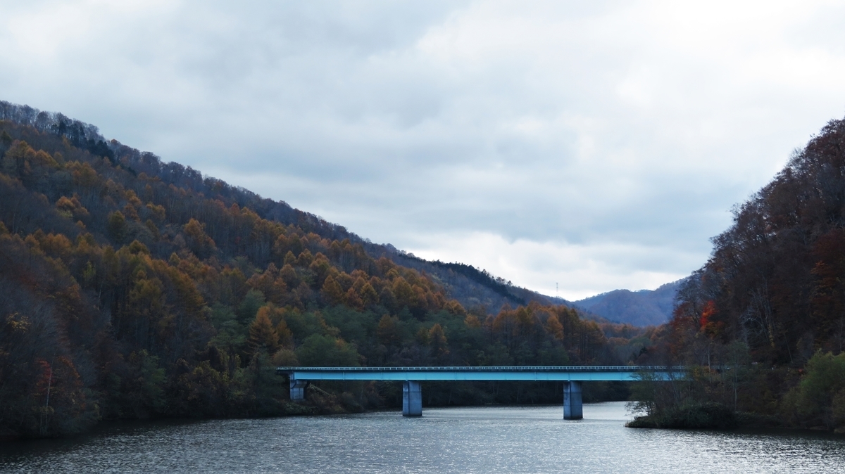 f:id:shirokumapanda:20200608233220j:plain