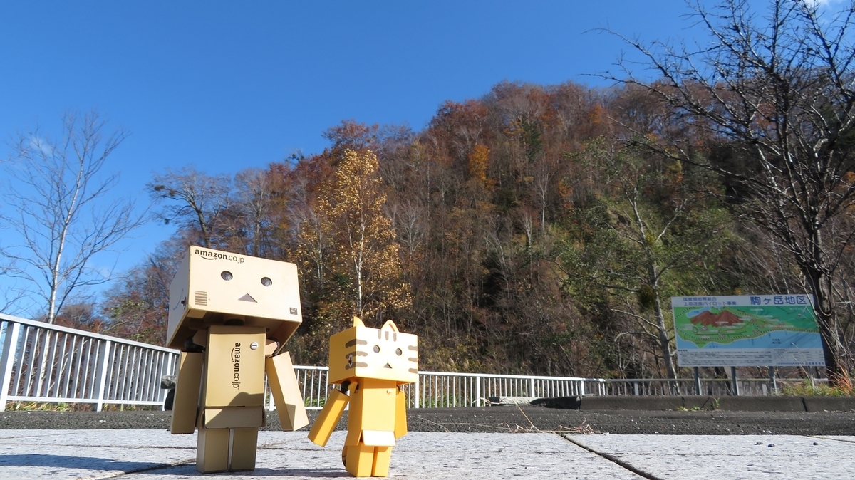 f:id:shirokumapanda:20200608233347j:plain