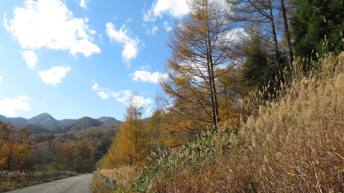 f:id:shirokumapanda:20200608233423j:plain