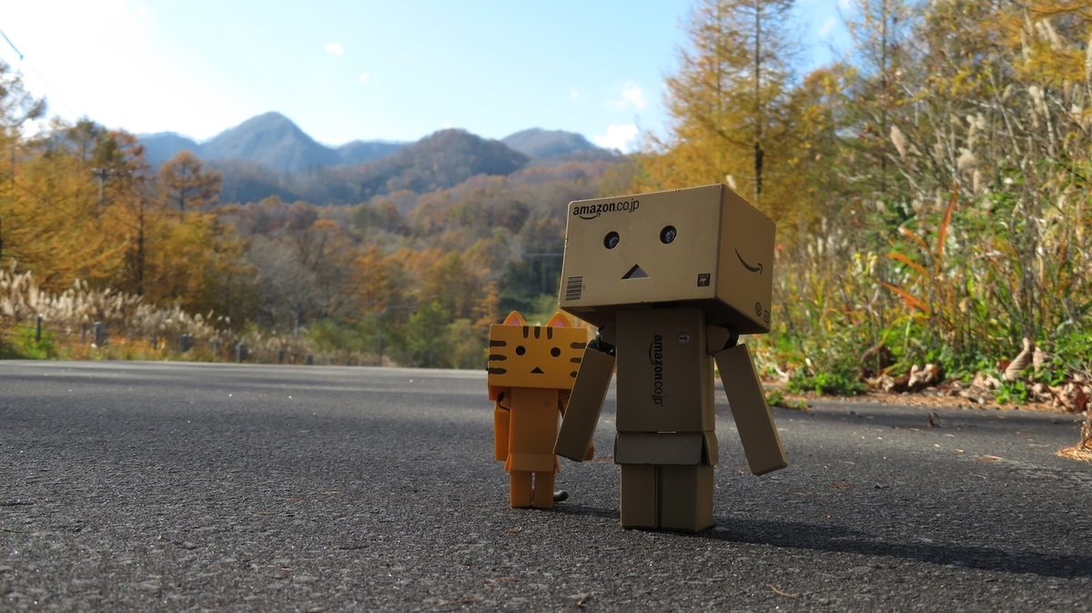 f:id:shirokumapanda:20200608233430j:plain