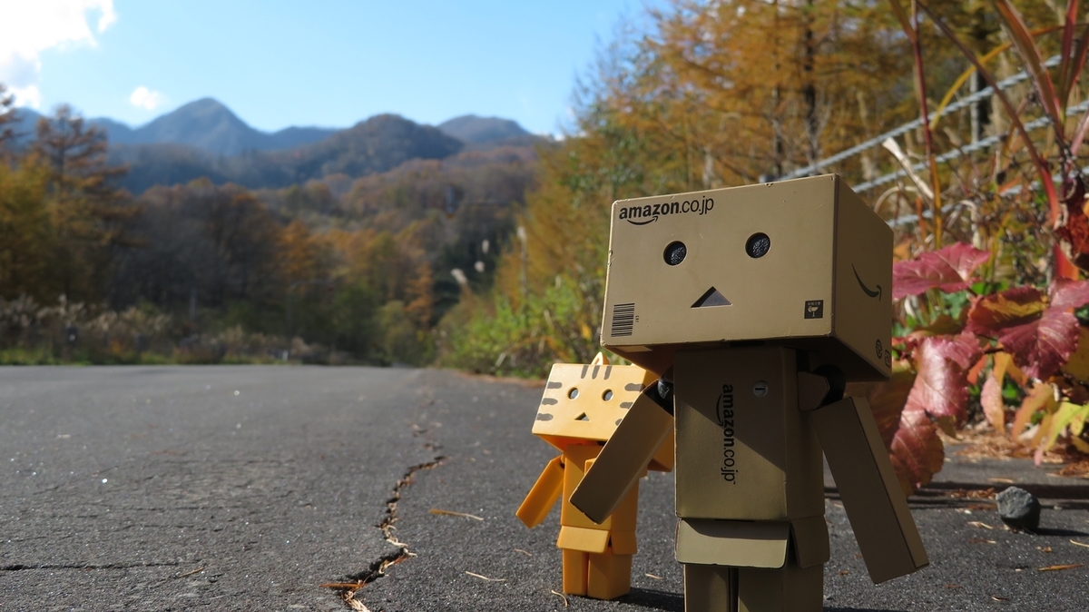 f:id:shirokumapanda:20200608233438j:plain