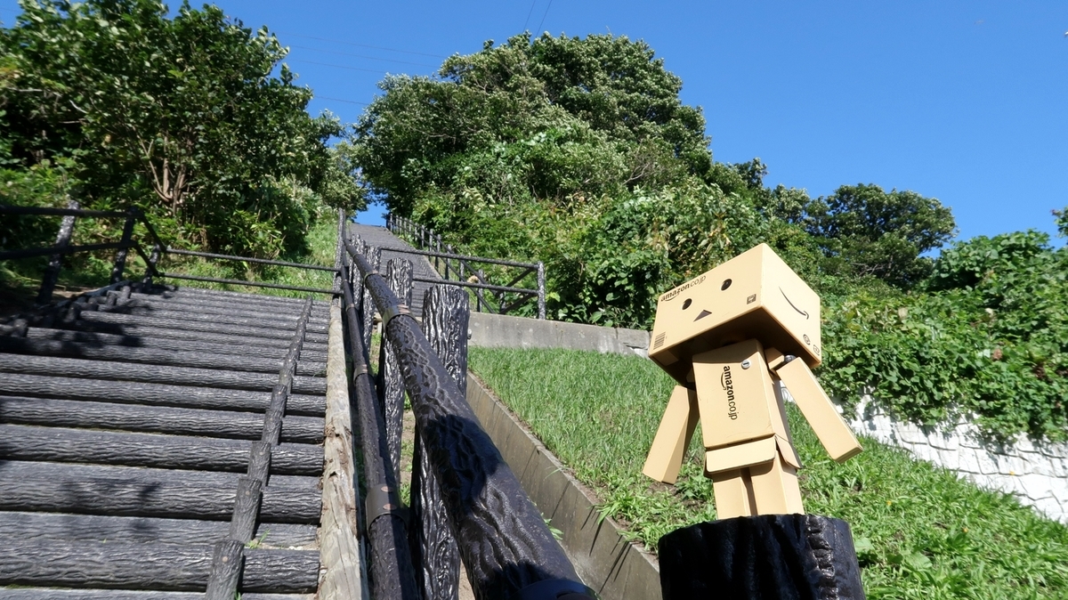 f:id:shirokumapanda:20200613221220j:plain