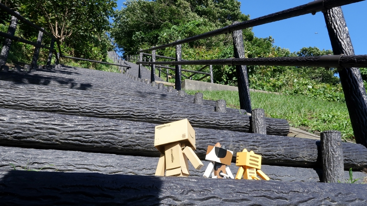 f:id:shirokumapanda:20200613221227j:plain