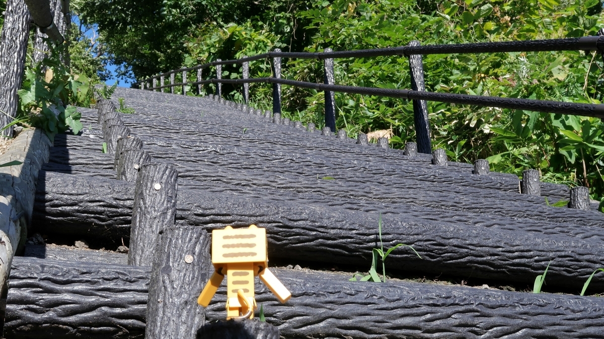 f:id:shirokumapanda:20200613221238j:plain