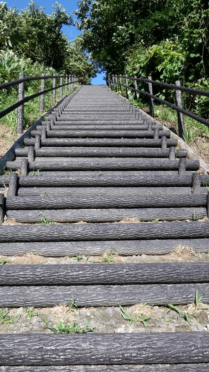 f:id:shirokumapanda:20200613221246j:plain