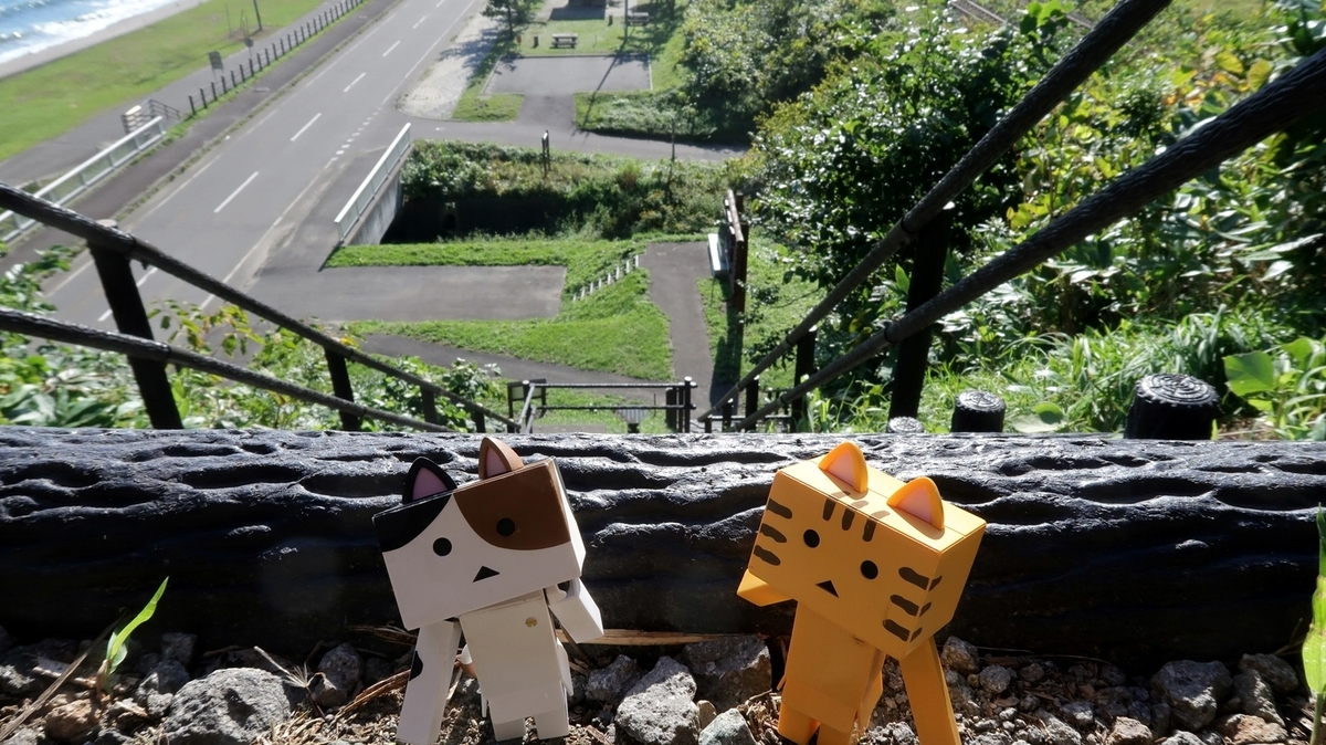 f:id:shirokumapanda:20200613221252j:plain