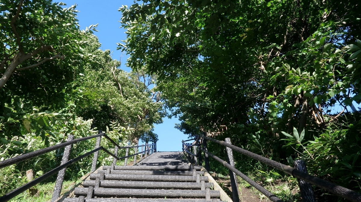 f:id:shirokumapanda:20200613221259j:plain