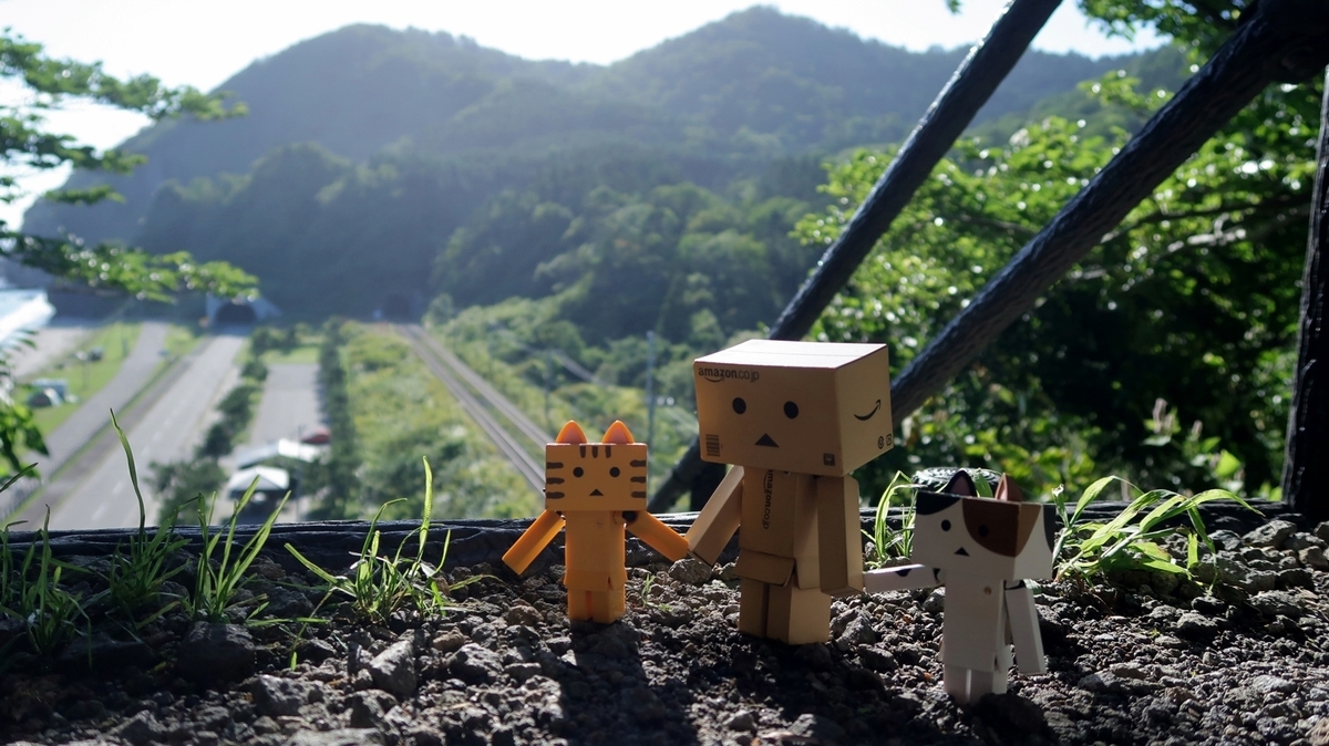 f:id:shirokumapanda:20200613221306j:plain