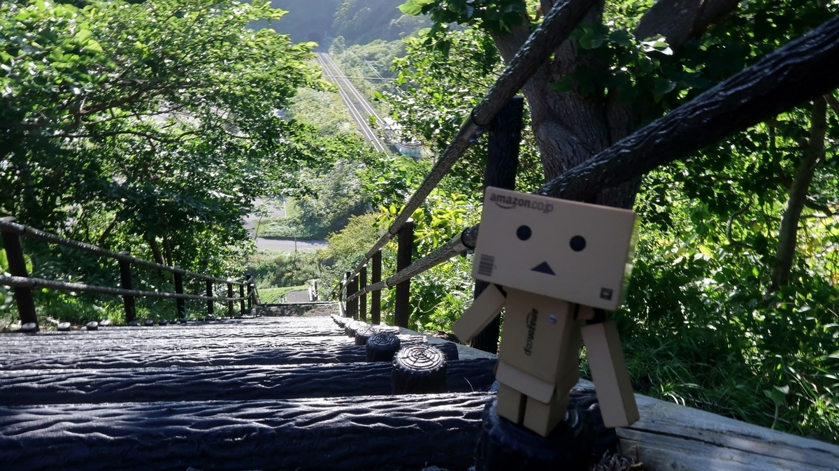 f:id:shirokumapanda:20200613221312j:plain