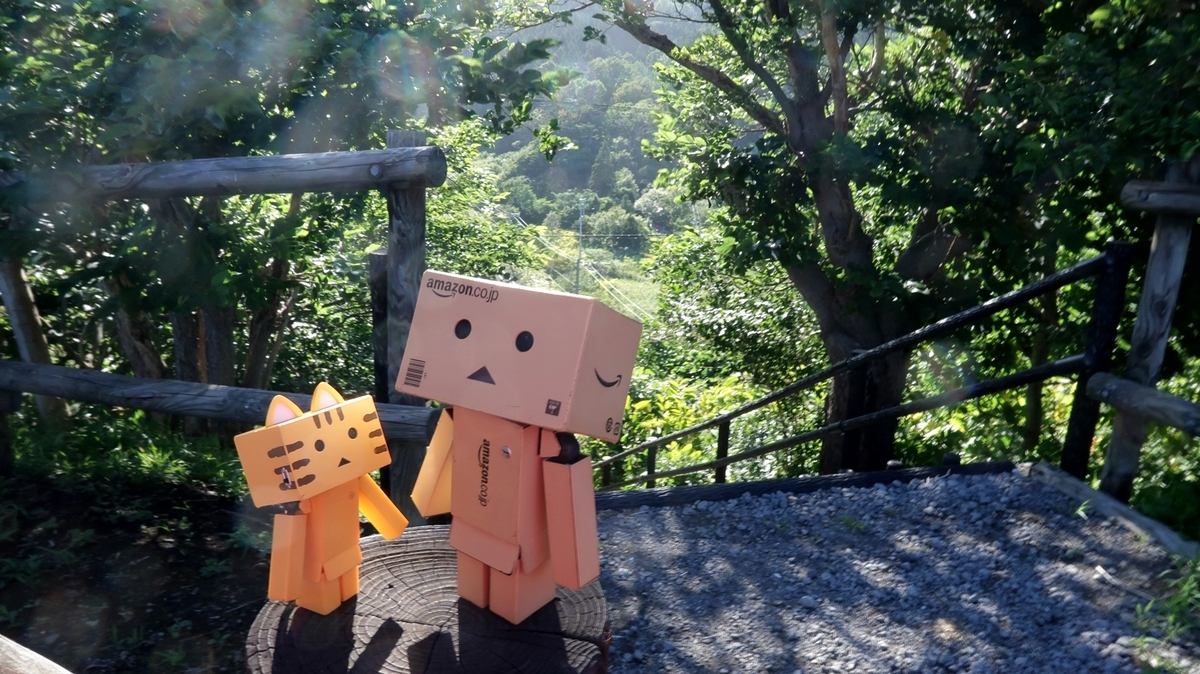 f:id:shirokumapanda:20200613221330j:plain